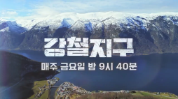 채널A_강철지구(강철답)